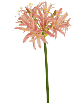 Kunstbloem Nerine 70 cm roze