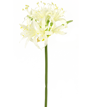 Kunstbloem Nerine 70 cm wit