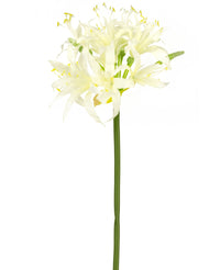 Kunstbloem Nerine 70 cm wit