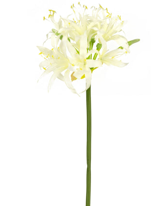 Kunstbloem Nerine 70 cm wit