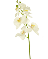 Kunstbloem Orchidee 84 cm wit