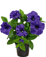 Kunstbloem Petunia plant 25 cm paars