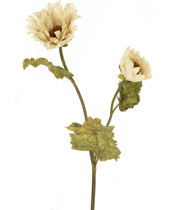 Kunstbloem Poppy Queen 78 cm crème