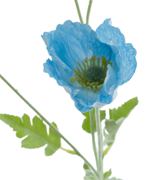 Kunstbloem Poppy Real Touch Blauw 60 cm