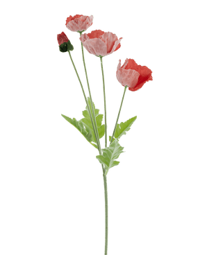 Kunstbloem Poppy Real Touch rood 60 cm
