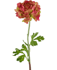 Kunstbloem Ranunculus 51 cm roze/groen