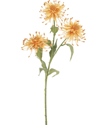 Kunstbloem Scabiosa Japonica 70 cm perzik