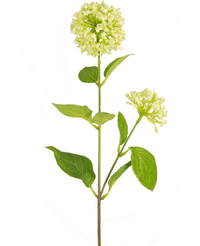 Kunstbloem Sneeuwbal/Viburnum 70 cm wit