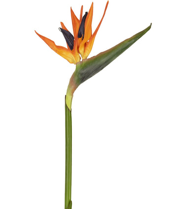 Kunstbloem Strelitzia 86 cm rood/paars