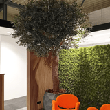 De Kunstboom Olijf 300 cm staat binnen naast een houten paneel en groene moswand, met twee oranje moderne stoelen ervoor onder een industrieel plafond.