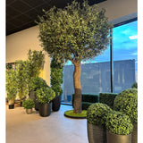 Een binnenruimte met een Kunstboom Olijf van 300 cm en weelderige planten bij de hoge ramen. Buiten is het gedeeltelijk bewolkt, waardoor natuurlijk licht deze moderne ruimte vult en een mediterrane sfeer creëert.