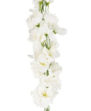 Kunstdelphinium Real Touch Wit 90cm