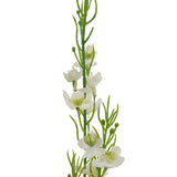 Een close-up van de Kunstgras Gierst Uien graspot 65cm brandvertragend, met groene stelen met delicate witte bloemen en kleine knoppen, verticaal gerangschikt tegen een effen witte achtergrond.