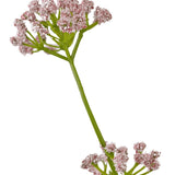 De Kunstgras Prei Bloem Uien Graspot 120cm brandvertragend heeft een enkele groene steel met trosjes kleine, delicate roze bloemen tegen een witte achtergrond.