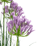 Kunstgras paarse Agapanthus uiengraspot 90cm brandvertragend