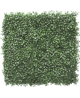 Kunsthaag Buxus 50x50 cm UV