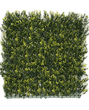 Kunsthaag Buxus geel 50x50 cm UV