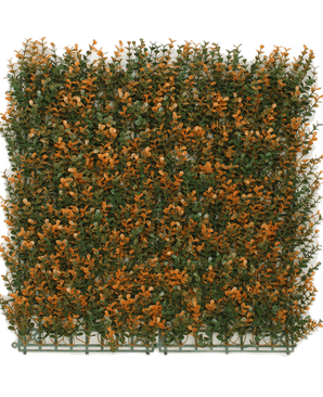 Kunsthaag Buxus oranje 50x50 cm UV