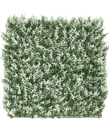 Kunsthaag Buxus wit 50x50 cm UV