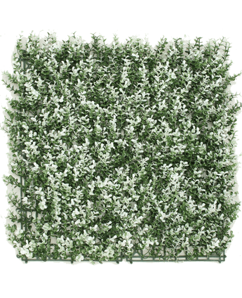 Kunsthaag Buxus wit 50x50 cm UV