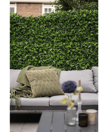 Buxus Japonicus Kunsthaag 50x50 mat Buxus Japonicus Kunsthaag 50x50 mat