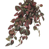 Kunst hangplant Fittonia Rood en wit 70 cm met ovale bladeren, donkergroene, roze en witte nerven. Weelderig, levendig groen dat sierlijk naar beneden hangt tegen een witte achtergrond.