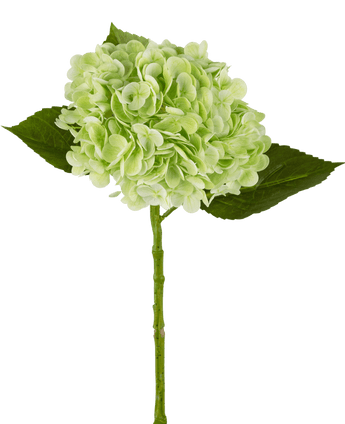 Kunsthortensia "Annabelle" Real Touch Groen 55cm