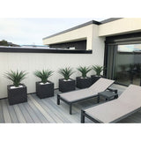 Een moderne patio heeft twee grijze loungestoelen en vijf vierkante plantenbakken, elk met een Kunstplant Agava Pandora UV 85 cm, tegen een wit met zwart gepaneelde muur voor een strakke, minimalistische look.