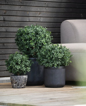 Een Kunst Buxus op stam d30 cm staat op een houten vlonder naast een lichtgrijze buitenbank, met daarachter een donkere houten lattenwand.