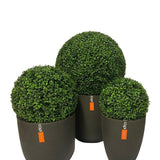Drie Kunstplant Buxus romeinse stijl UV D30cm vormsnoeibollen in donkergrijze potten, elk met een oranje label met witte tekst, zijn gegroepeerd tegen een effen witte achtergrond.