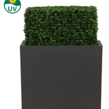 De Kunst Buxushaag UV 70x20x50 cm is een rechthoekige, UV-beschermde groene kunststof buxushaag in een hoge, zwarte plantenbak, afgebeeld tegen een witte achtergrond met een UV-icoon dat de zonbestendigheid benadrukt.