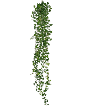 De Kunst hangplant Klimop deluxe 180 cm groen heeft een lange streng groene klimop met veel kleine, puntige blaadjes die naar beneden vallen, perfect als decoratie tegen een witte achtergrond.