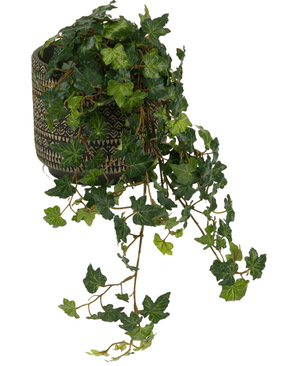 De Kunst Klimop Deluxe Groen 60cm heeft weelderig groene, glanzende, gelobde klimopbladeren die over een decoratieve pot met patroon vallen, tegen een witte achtergrond.