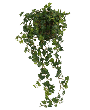 De Kunst Klimop Deluxe Groen 90cm is een hangmand met weelderige, groene klimopranken die elegant tegen een witte achtergrond cascaderen.
