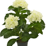 Maak kennis met de Kunstplant Hortensia Wit UV 35 cm, een levensechte kunstplant met drie trossen lichtwitte hortensiabloemen en weelderig groen blad, prachtig vervaardigd om op echte bloemen te lijken, gepresenteerd tegen een stralend witte achtergrond.
