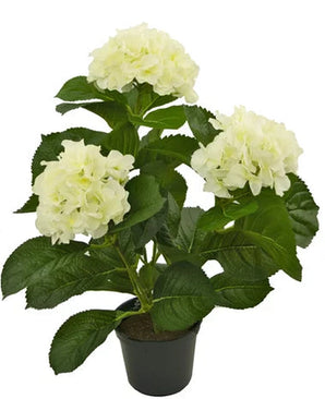 Maak kennis met de Kunstplant Hortensia Wit UV 35 cm, een levensechte kunstplant met drie trossen lichtwitte hortensiabloemen en weelderig groen blad, prachtig vervaardigd om op echte bloemen te lijken, gepresenteerd tegen een stralend witte achtergrond.