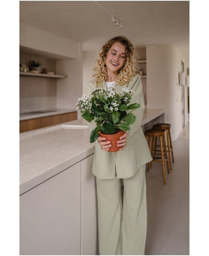 Een vrouw met krullend blond haar, draagt een lichtgroen pak en staat in een moderne keuken te glimlachen terwijl ze de Kunstbloem Kalanchoë plant van 31 cm wit met witte bloemen vasthoudt.