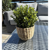 De Kunstplant Buxus groen in pot UV 19 cm, met groene bladeren in een rieten mandvormige pot, staat op een glazen buitentafel met terrasmeubilair en een houten reling zichtbaar onder een strakblauwe hemel.