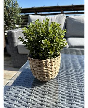 De Kunstplant Buxus groen in pot 19 cm UV staat op een glazen buitentafel, de levendige groene bladeren fleuren het tafereel op samen met een grijze rieten bank en blauwe lucht op de achtergrond.