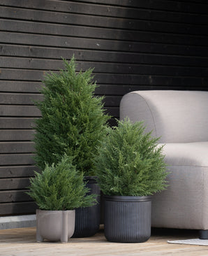 Drie Kunstplant Conifeer deluxe 60 cm UV potstruiken staan op een houten vlonder bij een lichtgrijze buitenbank, tegen een donkere horizontale houten lambrisering - perfect voor je groene tuin of elke ruimte met kunstplanten voor buiten.