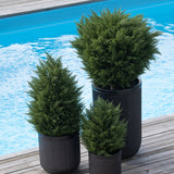 Drie Kunstplant Conifeer deluxe UV 60 cm in zwarte geribbelde plantenbakken brengen groen naar je houten terras bij het blauwe zwembad - ideaal voor een groene tuin met stijlvolle, weerbestendige kunstplanten buiten.