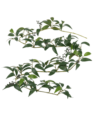 De Kunst Smilax Slinger 180cm heeft lange, dunne takken met trossen donkergroene bladeren en kleine zwarte besjes tegen een witte achtergrond.