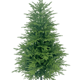 De Kunstkerstboom "Åsmund" PE/PVC is een volle, groene kunstkerstboom met dichte takken, rechtopstaand op een metalen standaard tegen een effen witte achtergrond.