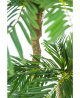Kunstpalm Cycas Classic 165 cm