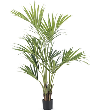 Kunstplant Kentia Palm 150 cm