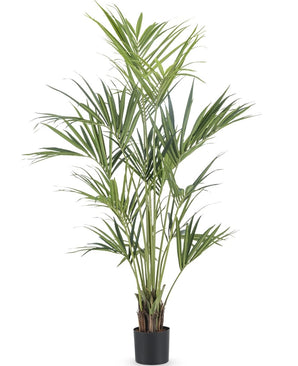 Kunstplant Kentia Palm 180 cm
