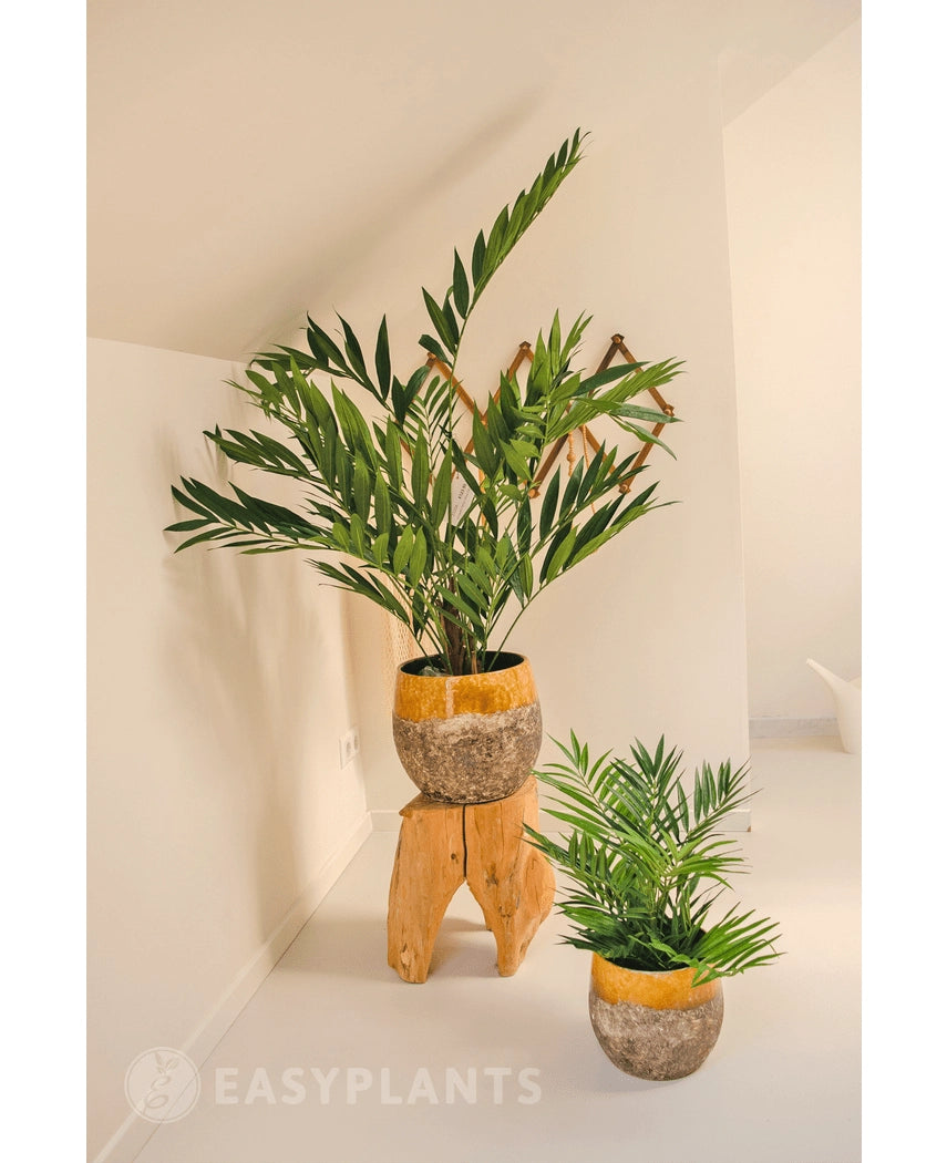 Kunstpalm Parlour 60 cm