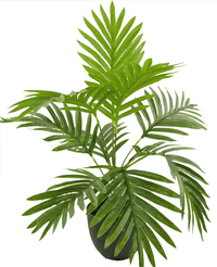 Kunstpalm Phoenix 50 cm in sierpot zwart