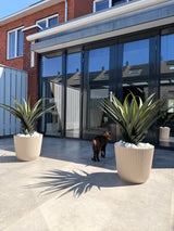 Kunstplant Agava Pandora 85 cm UV