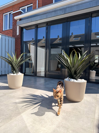 Kunstplant Agava Pandora 85 cm UV